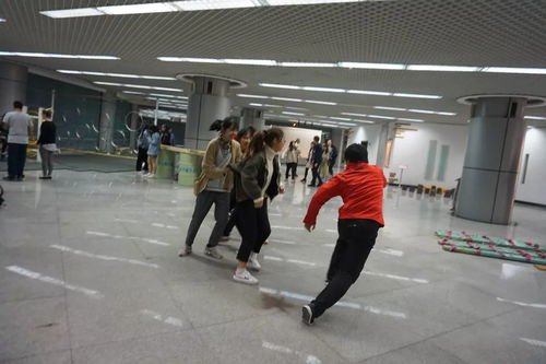 新西蘭風(fēng)情文化集市 跨越山海，邀您共赴一場(chǎng)藝術(shù)盛宴